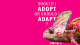 #mcb18 Chamaleon: Should I adopt or should I adapt? 